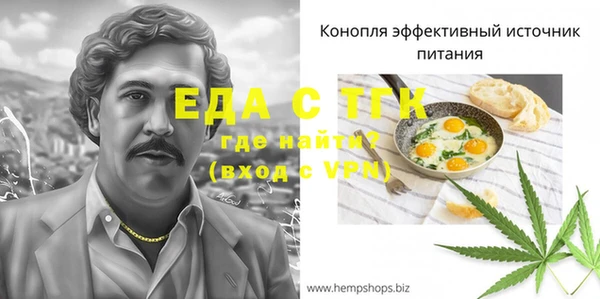 сатива Бородино