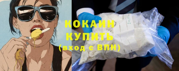 шишки Покровск