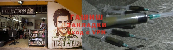 сатива Бородино