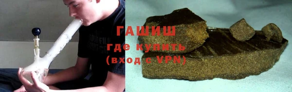 сатива Бородино