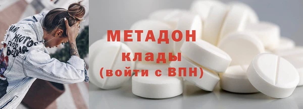 сатива Бородино