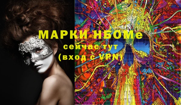 сатива Бородино