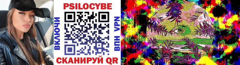 Галлюциногенные грибы Psilocybine cubensis  Моздок 