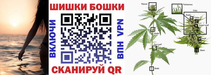 дарнет шоп  Моздок  Бошки Шишки SATIVA & INDICA 